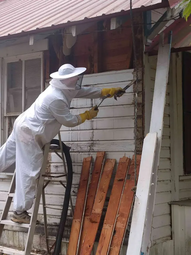 Brent's Honey Bee Rescue and Removal — photo from the business 7