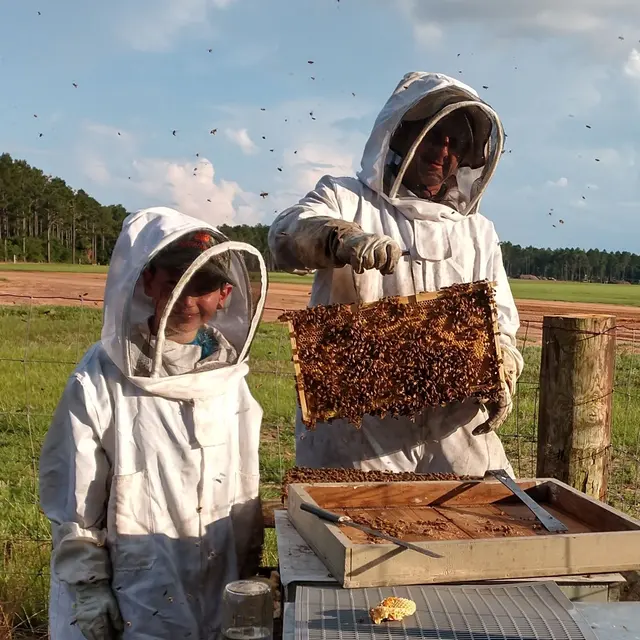 Brent's Honey Bee Rescue and Removal — photo from the business 6