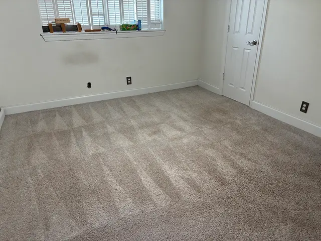 Prime Surplus Cleaning — customer photo 1