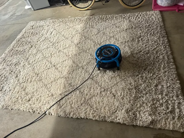 Prime Surplus Cleaning — customer photo 2