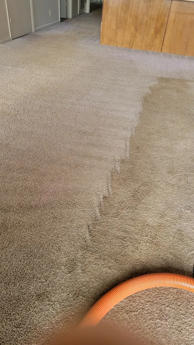 Ken's Carpet Care Inc — customer photo 2