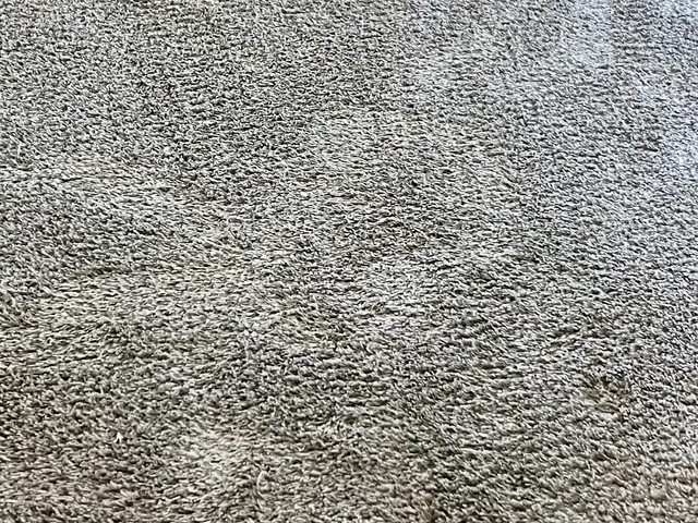 Ken's Carpet Care Inc — customer photo 3