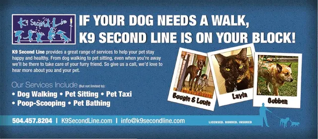 K9 Second Line — photo from the business 3