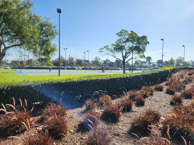 Basketball Courts — customer photo 2