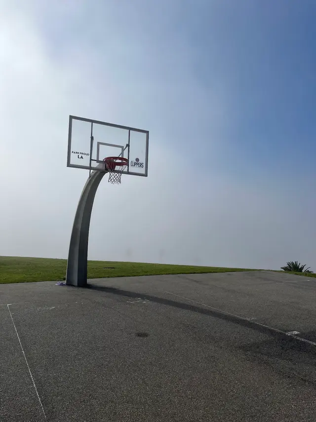 Customer photo of work by Basketball Courts, from Evan's review