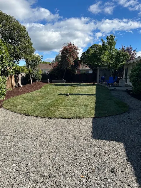 Customer photo of work by Novara Landscape & Construction, from Virginia Carroll's review