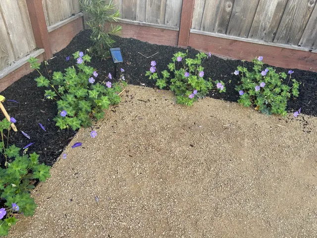 Customer photo of work by Novara Landscape & Construction, from laura sweet's review