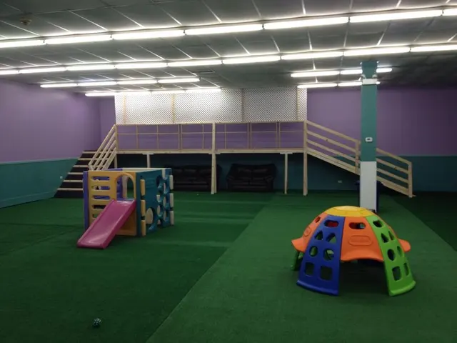 Yuppie Puppie Play Care — photo from the business 7