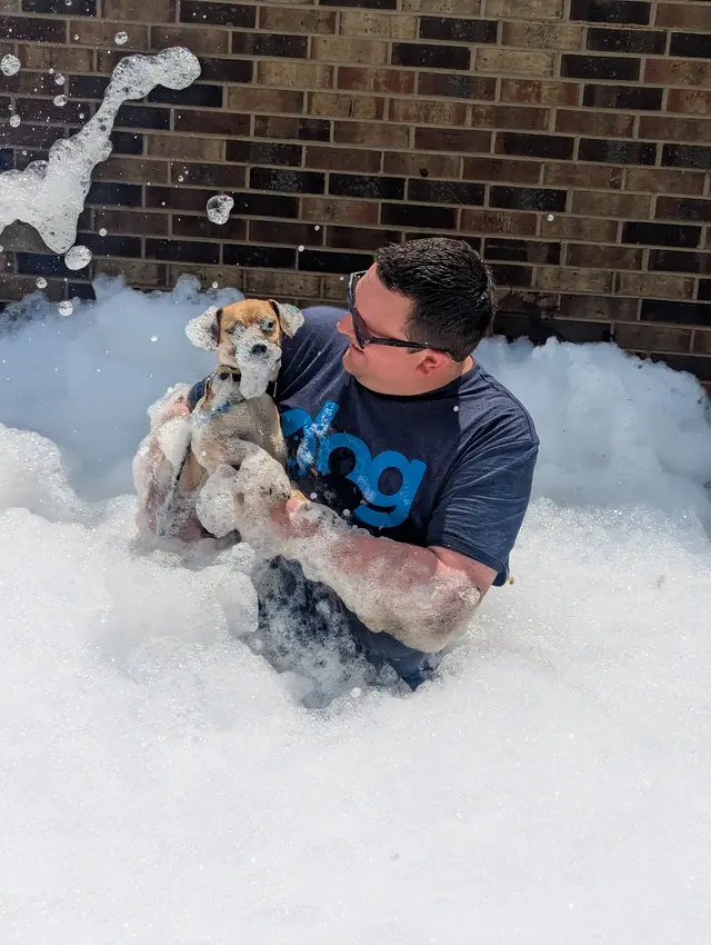 Dog Training Now — photo from the business 8