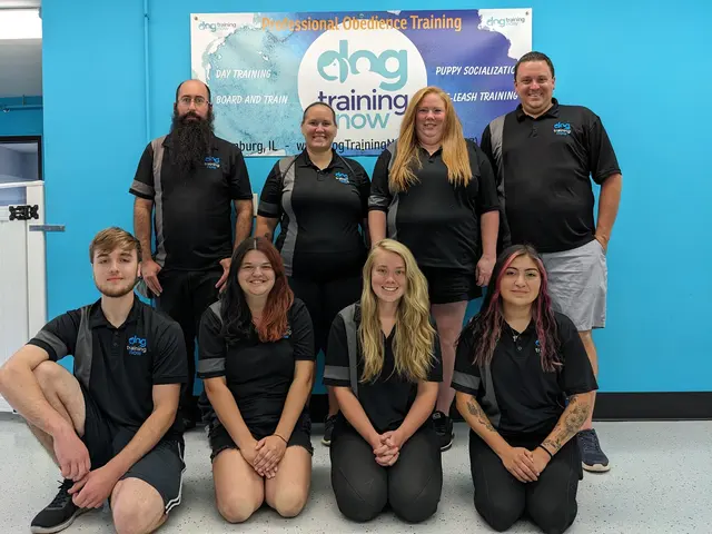Dog Training Now — photo from the business 1