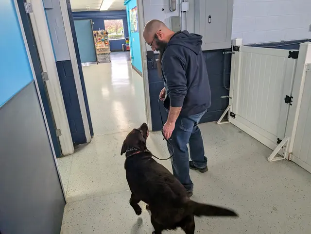 Dog Training Now — photo from the business 12