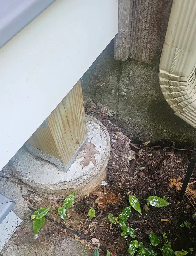 Customer photo of work by DNS Construction, llc, from Burnt Oak's review