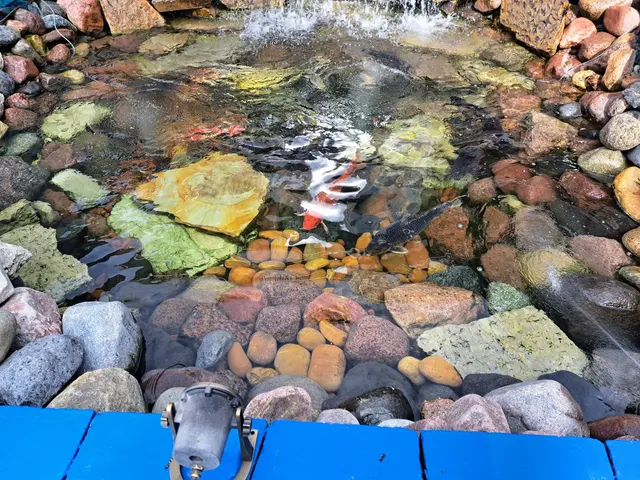 Customer photo of work by Midwest Pond Features and Landscape, from Scott ScottyKarate's review