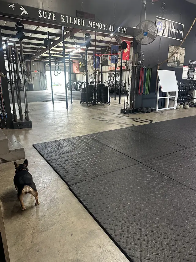 CrossFit Camden — customer photo 2