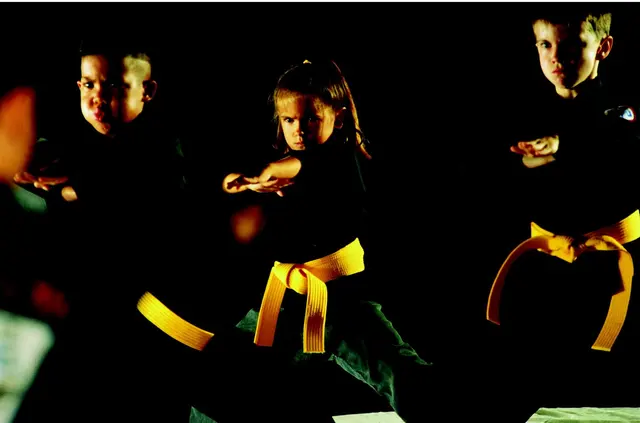 Next Generation Martial Arts — photo from the business 1
