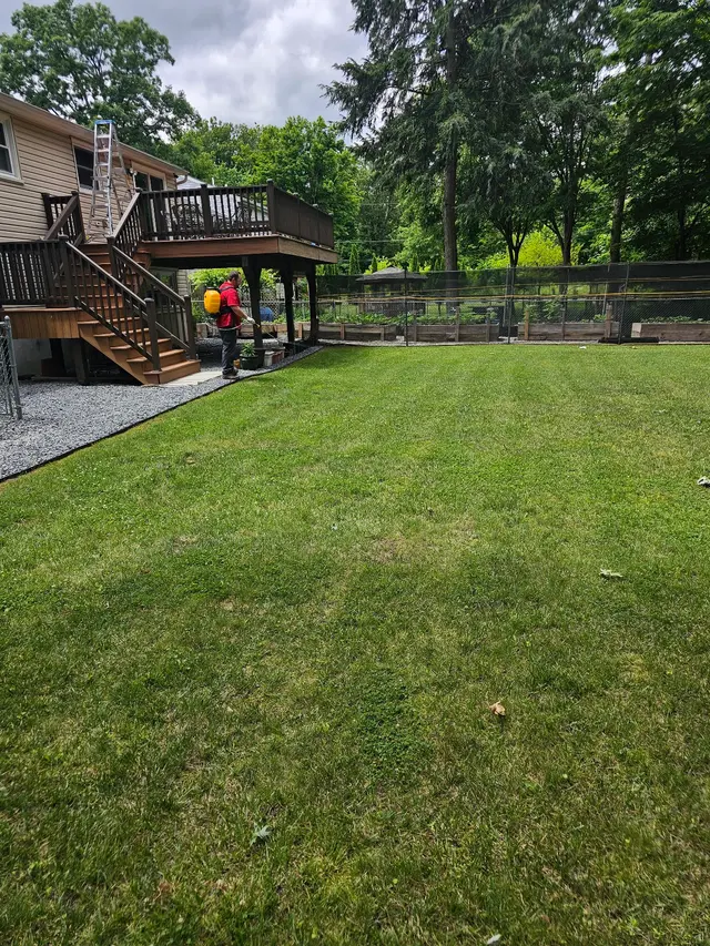 Simply The Best Pest Control — customer photo 11