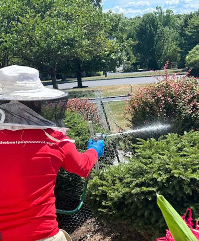 Simply The Best Pest Control — photo from the business 2