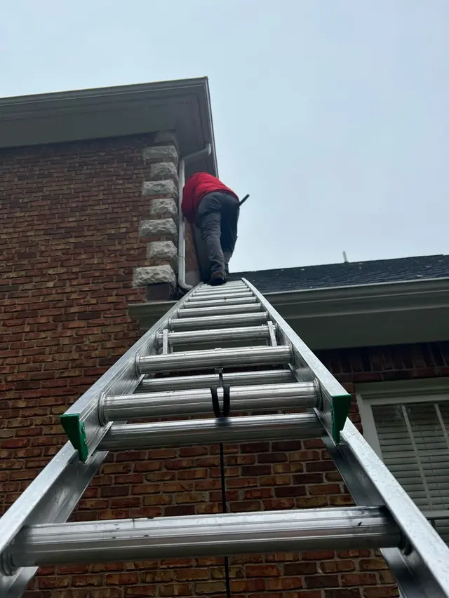 Simply The Best Pest Control — photo from the business 4