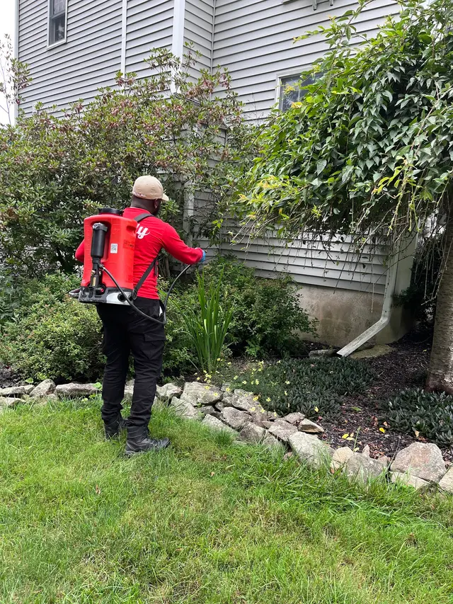 Simply The Best Pest Control — customer photo 8