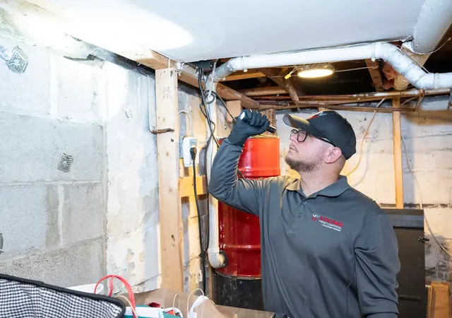 Viking Pest Control — photo from the business 7