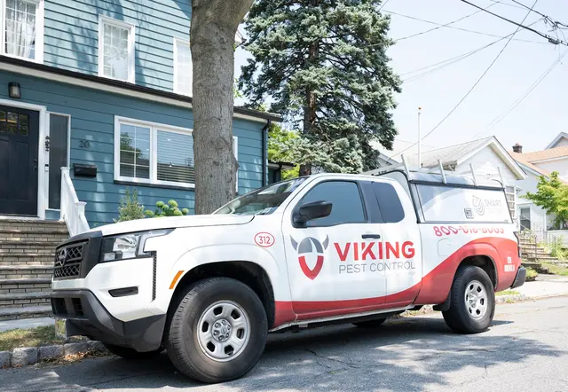 Viking Pest Control — photo from the business 1