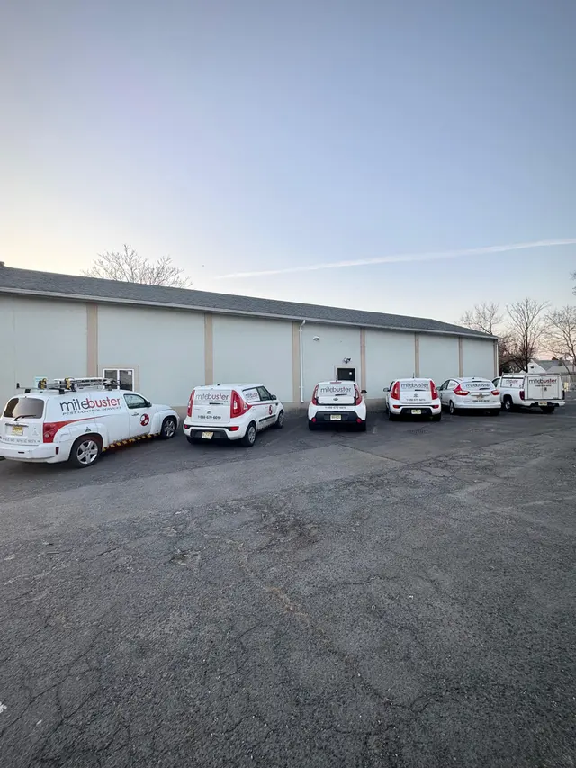 MiteBuster BedBug & Pest Control — photo from the business 6