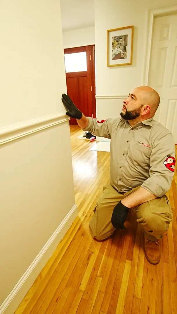 MiteBuster BedBug & Pest Control — photo from the business 10