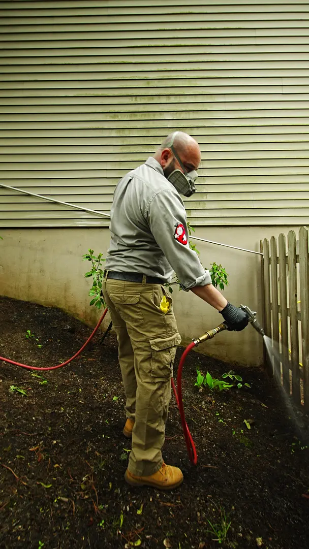 MiteBuster BedBug & Pest Control — photo from the business 3