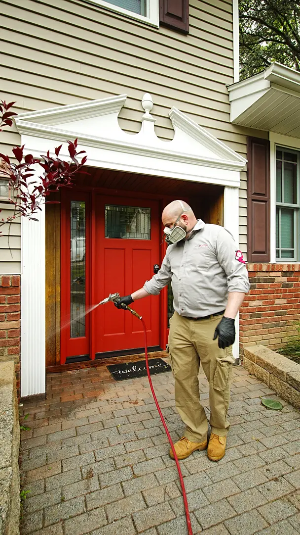 MiteBuster BedBug & Pest Control — photo from the business 8