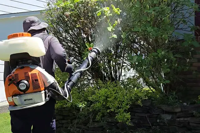 MiteBuster BedBug & Pest Control — photo from the business 4