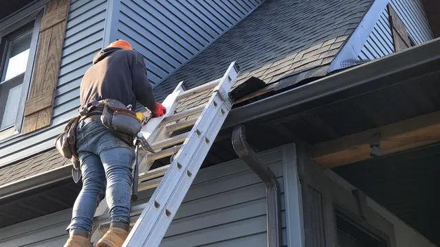 MiteBuster BedBug & Pest Control — photo from the business 9