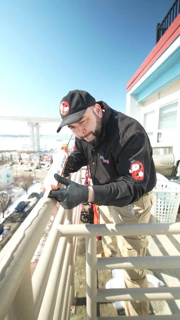 MiteBuster BedBug & Pest Control — photo from the business 7