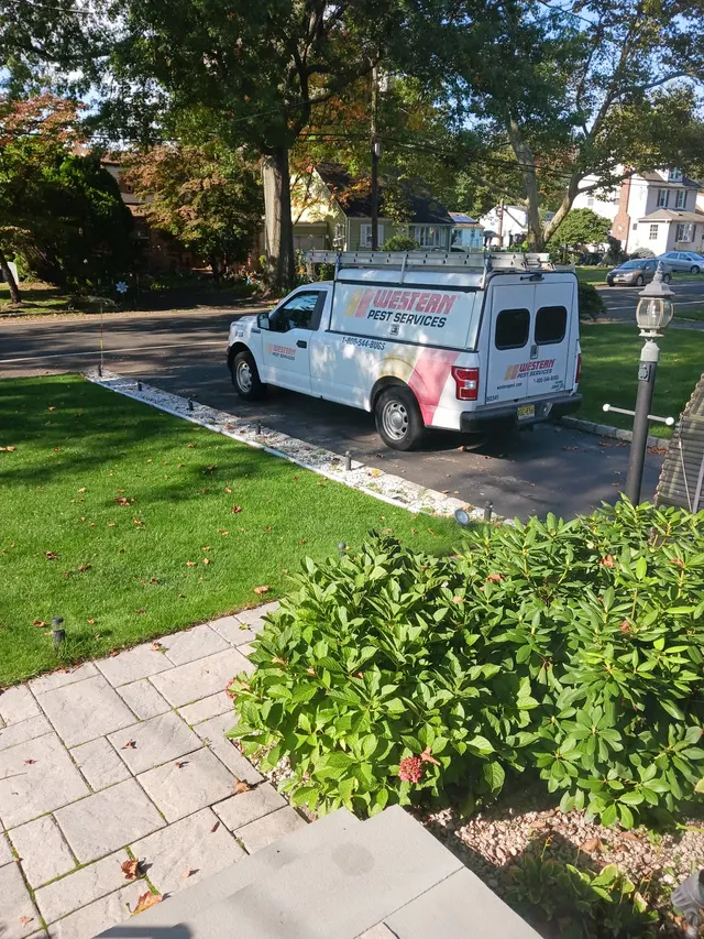 Western Pest Services — customer photo 5
