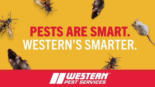 Western Pest Services — photo from the business 1