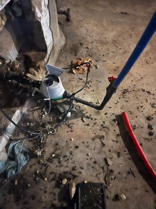 Newark Exterminator Last Stop Pest Control — photo from the business 1