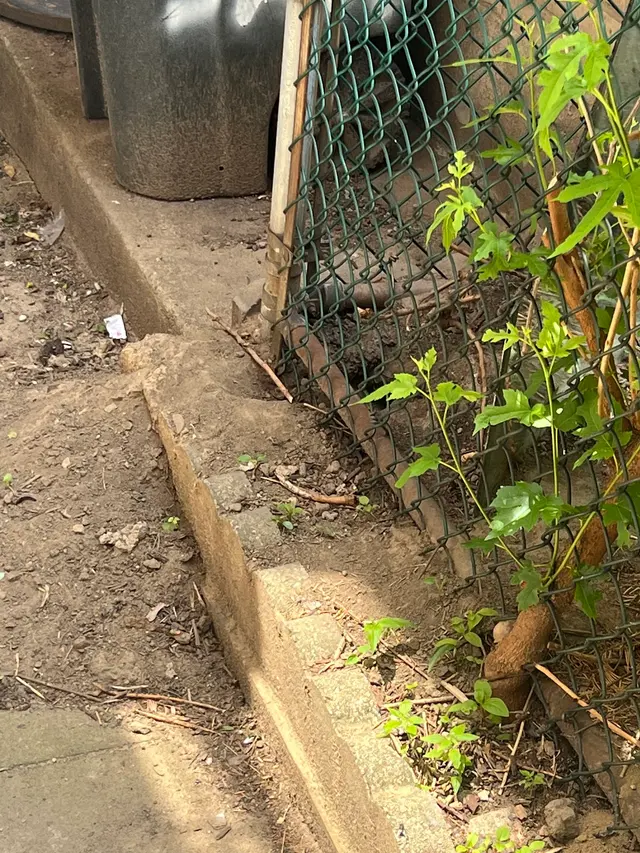 Newark Exterminator Last Stop Pest Control — photo from the business 9
