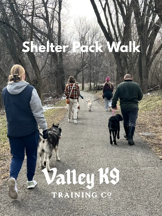 Valley K9 Training Co — photo from the business 4