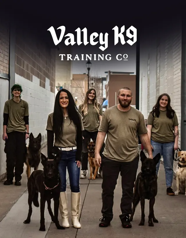 Valley K9 Training Co — photo from the business 2