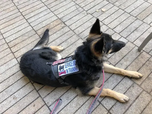 Underworld Kennels & Dog Training — photo from the business 9