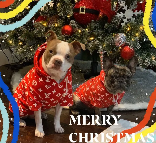 Customer photo of work by Underworld Kennels & Dog Training, from Jessica Foster's review