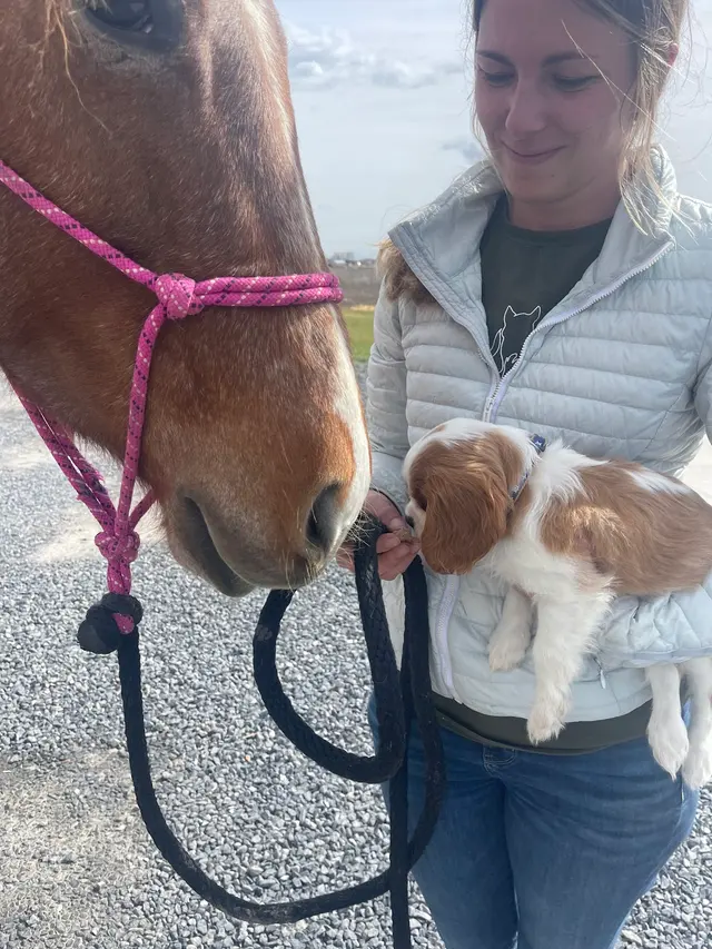 Puppy Steps Training — customer photo 11