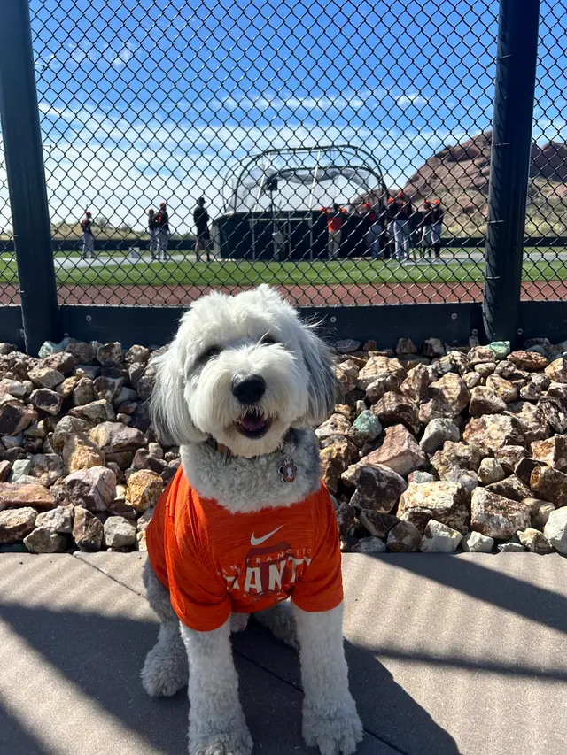 Puppy Steps Training — customer photo 7