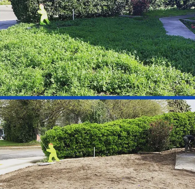 Next Generation Pest Control — photo from the business 3