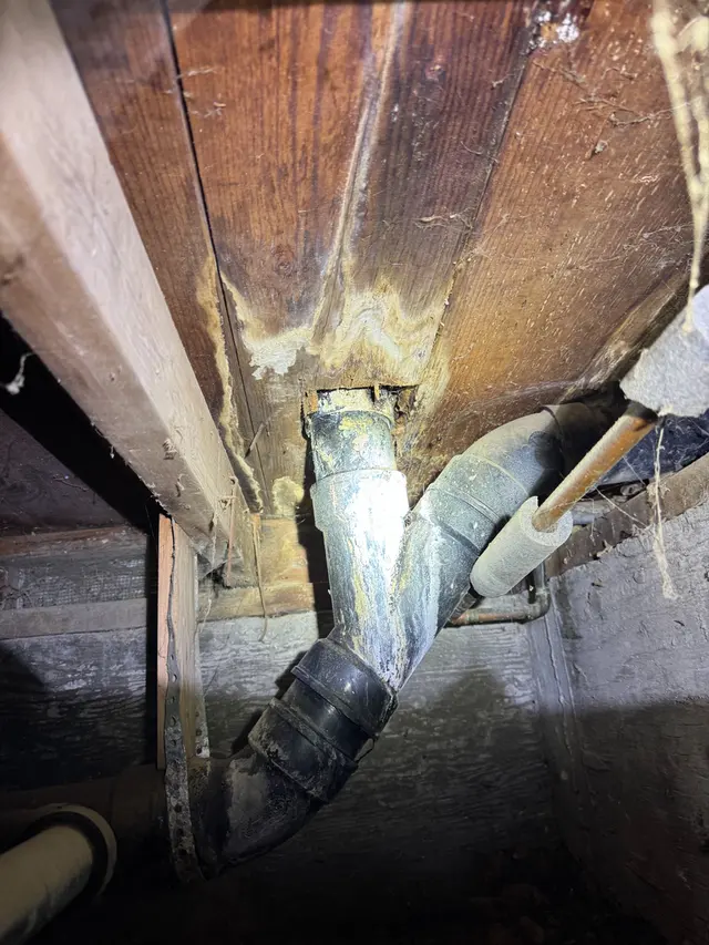 Reliable Termite Solutions — photo from the business 4