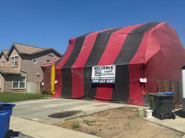 Reliable Termite Solutions — photo from the business 6