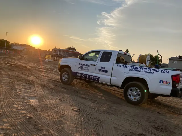 Reliable Termite Solutions — photo from the business 2