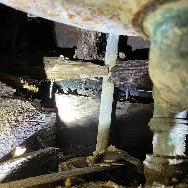 Reliable Termite Solutions — photo from the business 10