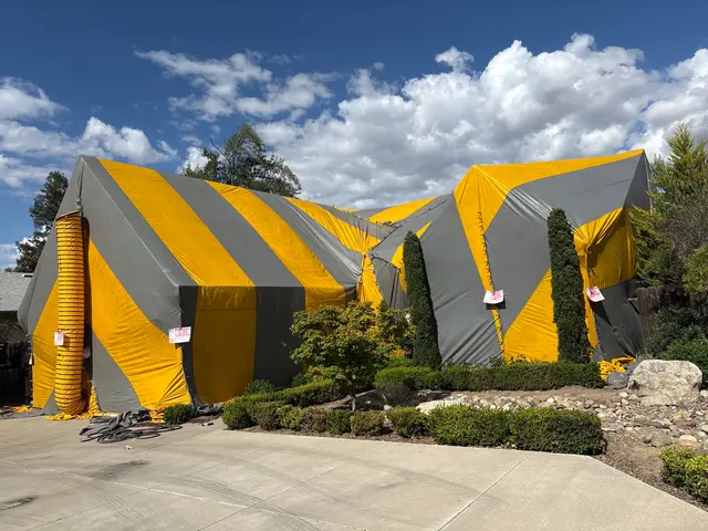 Reliable Termite Solutions — photo from the business 8