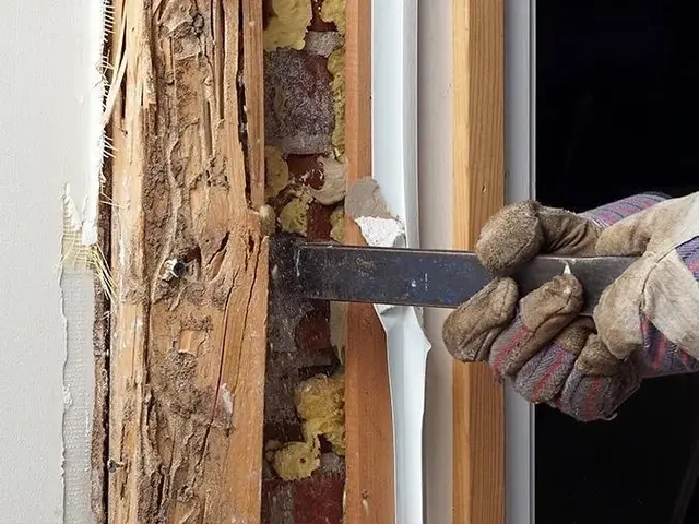 Reliable Termite Solutions — photo from the business 3