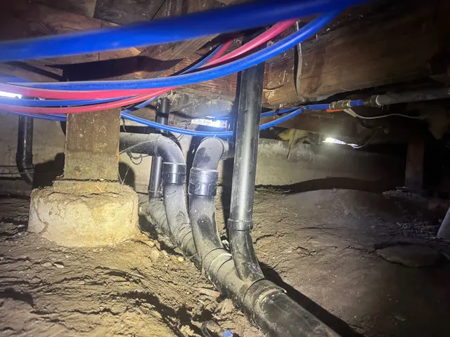 Reliable Termite Solutions — photo from the business 9